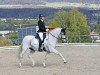 dressage horse Caramelo Rey (Pura Raza Espanola (PRE), 2009, from Favorito de Ymas)