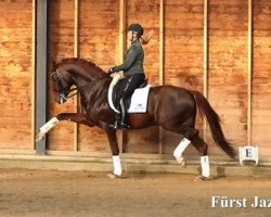 stallion Fürst Jazz (KWPN (Royal Dutch Sporthorse), 2013, from Fürst Romancier)