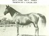 broodmare Little Bit ox (Arabian thoroughbred, 1948, from Raseyn 1923 ox)