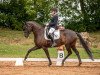 broodmare Rochelle 56 (German Sport Horse, 2017, from Fürsten-Look)