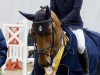 jumper Coreal B (Hanoverian, 2019, from Chacfly PS)