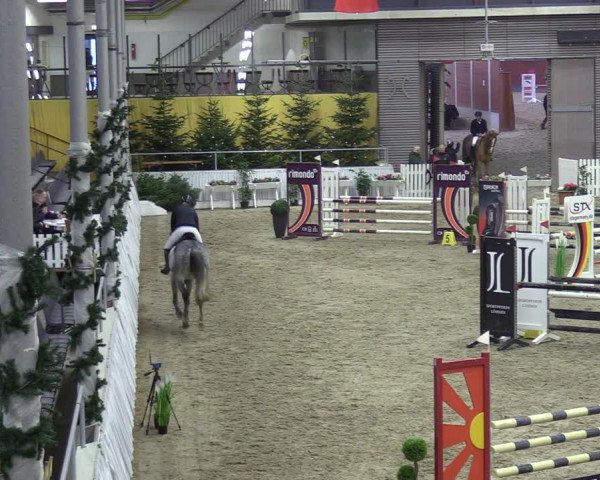 Reitturnier Verden 2023