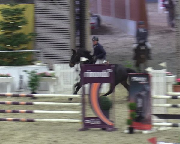 Reitturnier Verden 2023