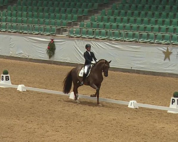 Reitturnier Kreuth/Opf. 2023