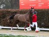 dressage horse Bocelli TN (Westphalian, 2021, from Bonds)