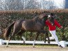 dressage horse Valerio D (Westphalian, 2021, from Vitalis)