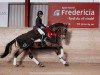 dressage horse Kaiseradler (Trakehner, 2007, from Van Deyk)