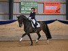 dressage horse Rafalou (Danish Warmblood, 2010)