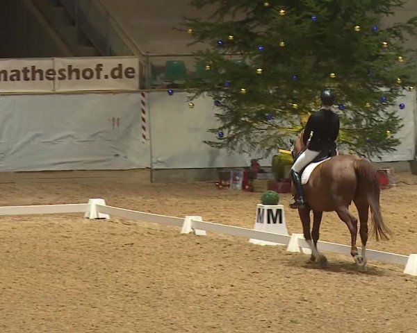 Reitturnier Kreuth/Opf. 2023