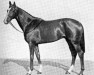 stallion British Empire xx (Thoroughbred, 1937, from Colombo xx)