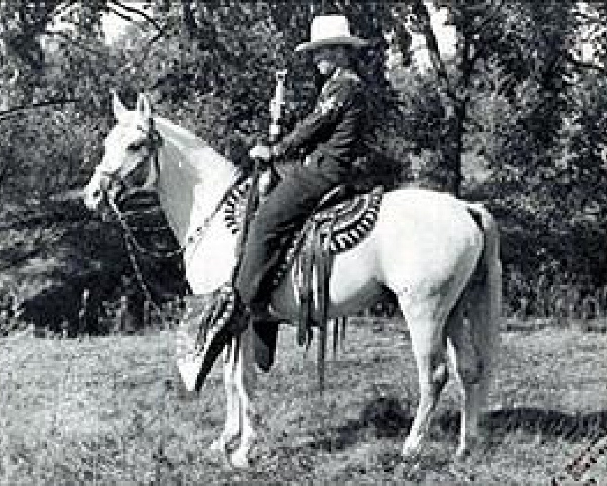 stallion Indraff ox (Arabian purebred, 1938, from Raffles ox)