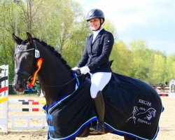 dressage horse Smeralda 6 (Westphalian, 2017, from Sir Heinrich OLD)