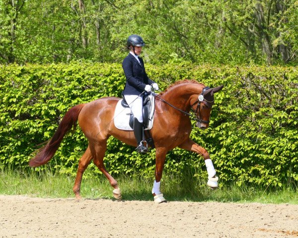 dressage horse Balvenie 4 (Mecklenburg, 2016, from Bernay)