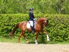 dressage horse Balvenie 4 (Mecklenburg, 2016, from Bernay)