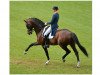 stallion Glock's Johnson Tn (KWPN (Royal Dutch Sporthorse), 2002, from Jazz)
