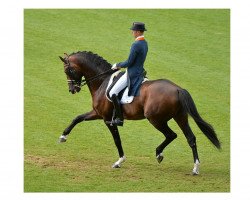 stallion Glock's Johnson Tn (KWPN (Royal Dutch Sporthorse), 2002, from Jazz)