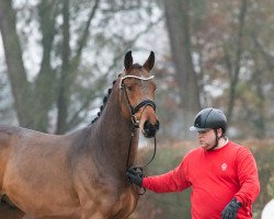 Springpferd Cathrin's Junior (Westfale, 2021, von Christian's Chacco)