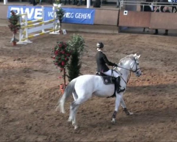 Alt Marl 2011