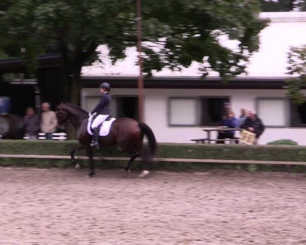 Reitturnier Kirchhellen-RSV Zur Linde 2021