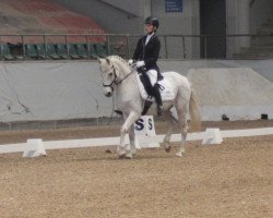 dressage horse Alfred 58 (unbekannt, 2003)