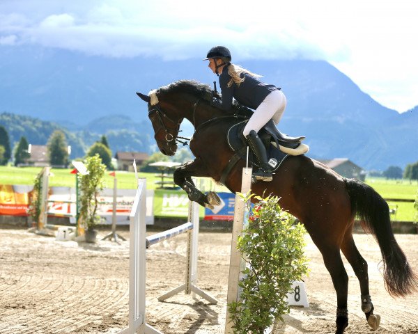 jumper Lonesome Glory (Holsteiner, 2014, from Lenett)