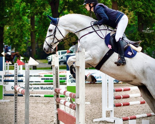jumper Pepita 200 (Hanoverian, 2016, from Perigueux)