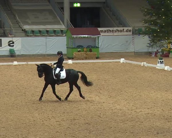 Reitturnier Kreuth/Opf. 2023