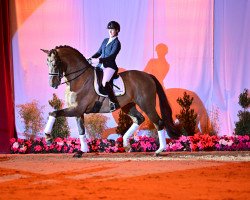 dressage horse DSP VA Bene (Deutsches Sportpferd, 2016, from Veneno)