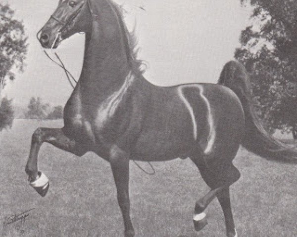 Deckhengst The Red Rambler (American Saddlebred Horse, 1958, von The Rambler)