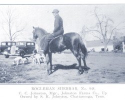 Deckhengst Roglemar Sherrara ox (Vollblutaraber, 1932, von Nejal ox)