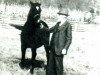 broodmare Chrallah ox (Arabian thoroughbred, 1928, from Hanad 1922 ox)