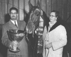 broodmare Al-Marah Libdi ox (Arabian thoroughbred, 1954, from Indraff ox)