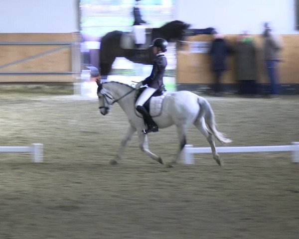 Reitturnier Datteln 2023