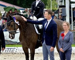 dressage horse Enigma OLD (Oldenburg, 2019, from Escamillo)