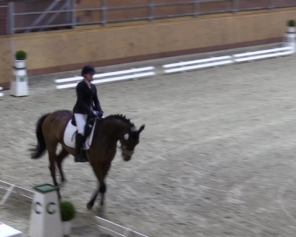 Reitturnier Hamburg-Friedrichshulde 2023