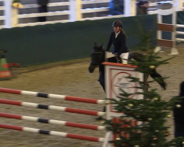 Reitturnier Salzwedel 2023
