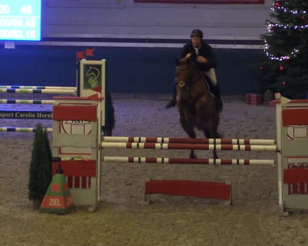 Reitturnier Salzwedel 2023