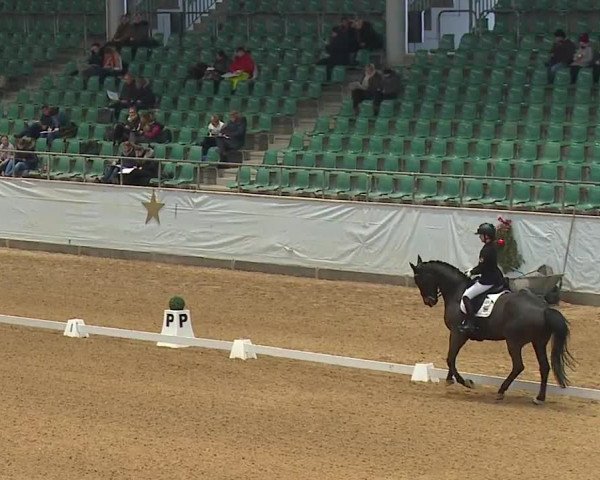 Reitturnier Kreuth/Opf. 2023