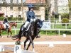 dressage horse Dakota 477 (German Sport Horse, 2012, from Domherr)