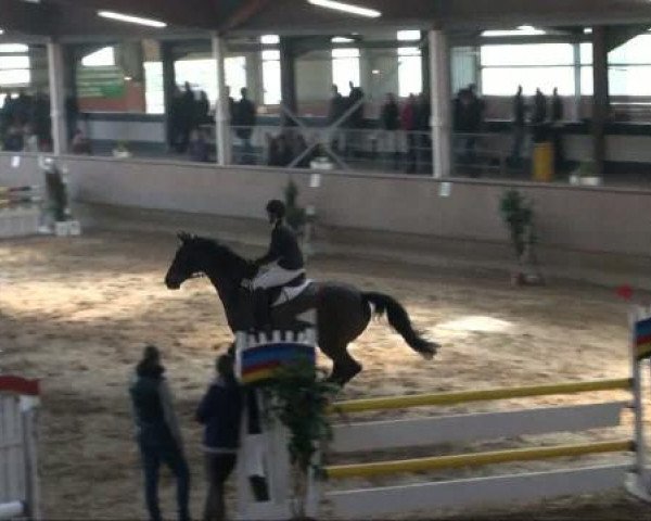 Alt Marl 2011