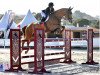 jumper My Cool Passion (Irish Sport Horse, 2008, from Passion)