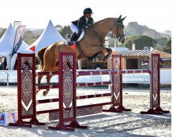 jumper My Cool Passion (Irish Sport Horse, 2008, from Passion)