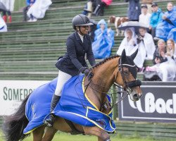 dressage horse Zoho Q (Swedish Warmblood, 2005, from Carte D'Or)