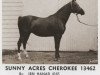 Pferd Sunny Acres Cherokee ox (Vollblutaraber, 1958, von Ibn Hanad ox)