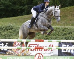 Springpferd Laesserhof's Xania Ps (Österreichisches Warmblut, 2015, von Bonaparte N AA)