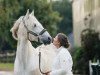 dressage horse Armas Solitario (Pura Raza Espanola (PRE), 2000)