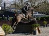 jumper Just Another Day V (KWPN (Royal Dutch Sporthorse), 2014, from Uphill)