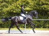 dressage horse Violina's Melody (Hanoverian, 2013, from Viscount 22)