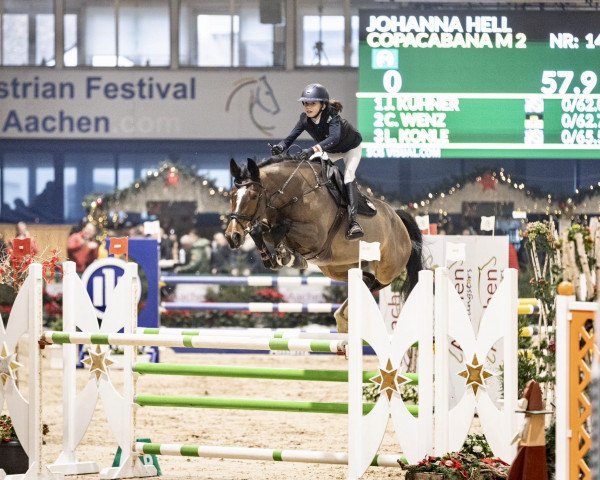 jumper Copacabana M (German Sport Horse, 2014, from Comme il Faut)