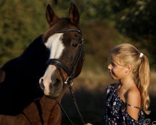 broodmare Nelly-Nordis (German Riding Pony, 1997, from Top Nordpol)